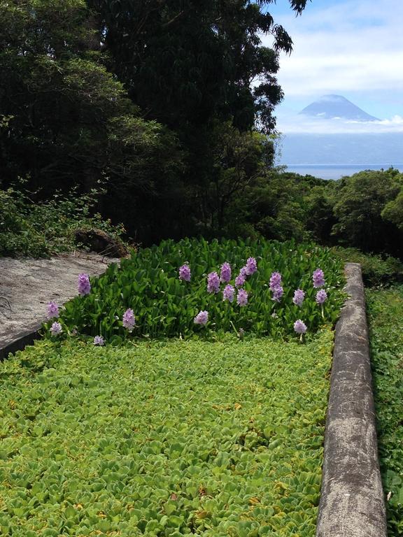 Make It Happen Farm Villa Urzelina Bagian luar foto
